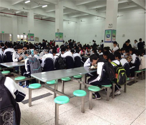 智慧餐飲服務與教育咨詢 一站式解決方案，助力企業(yè)發(fā)展